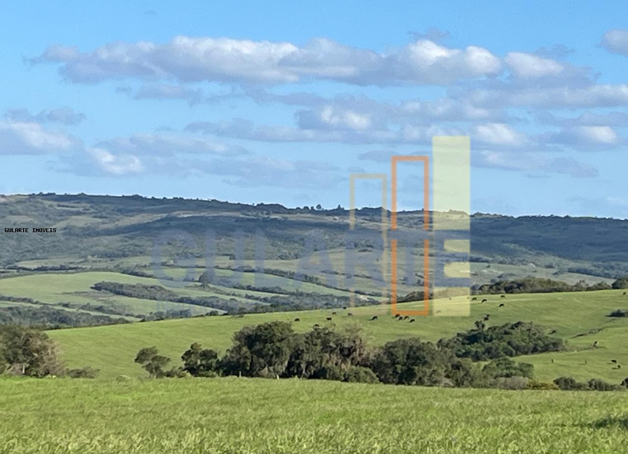 Fazenda, 952 hectares - Foto 7