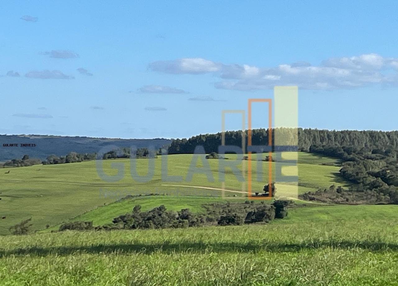 Fazenda, 952 hectares - Foto 11