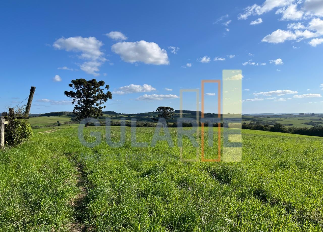 Fazenda, 952 hectares - Foto 10