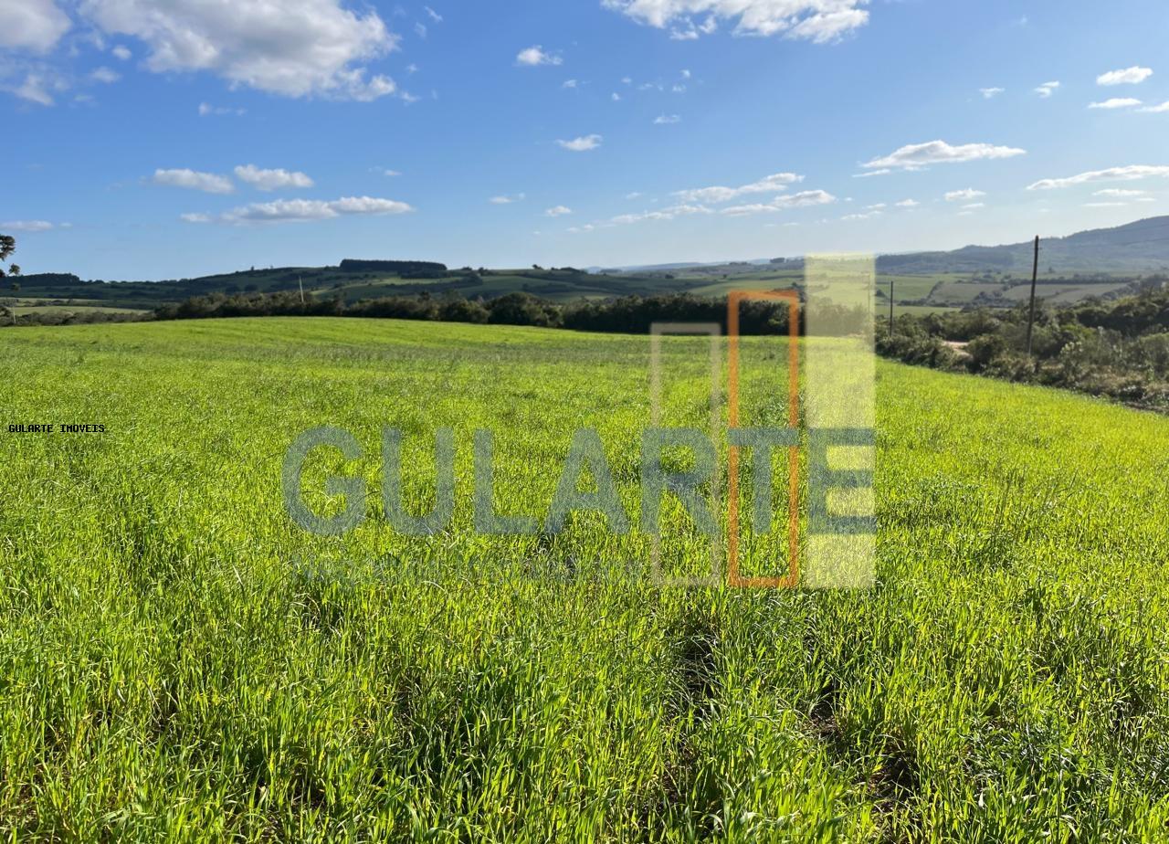 Fazenda, 952 hectares - Foto 9