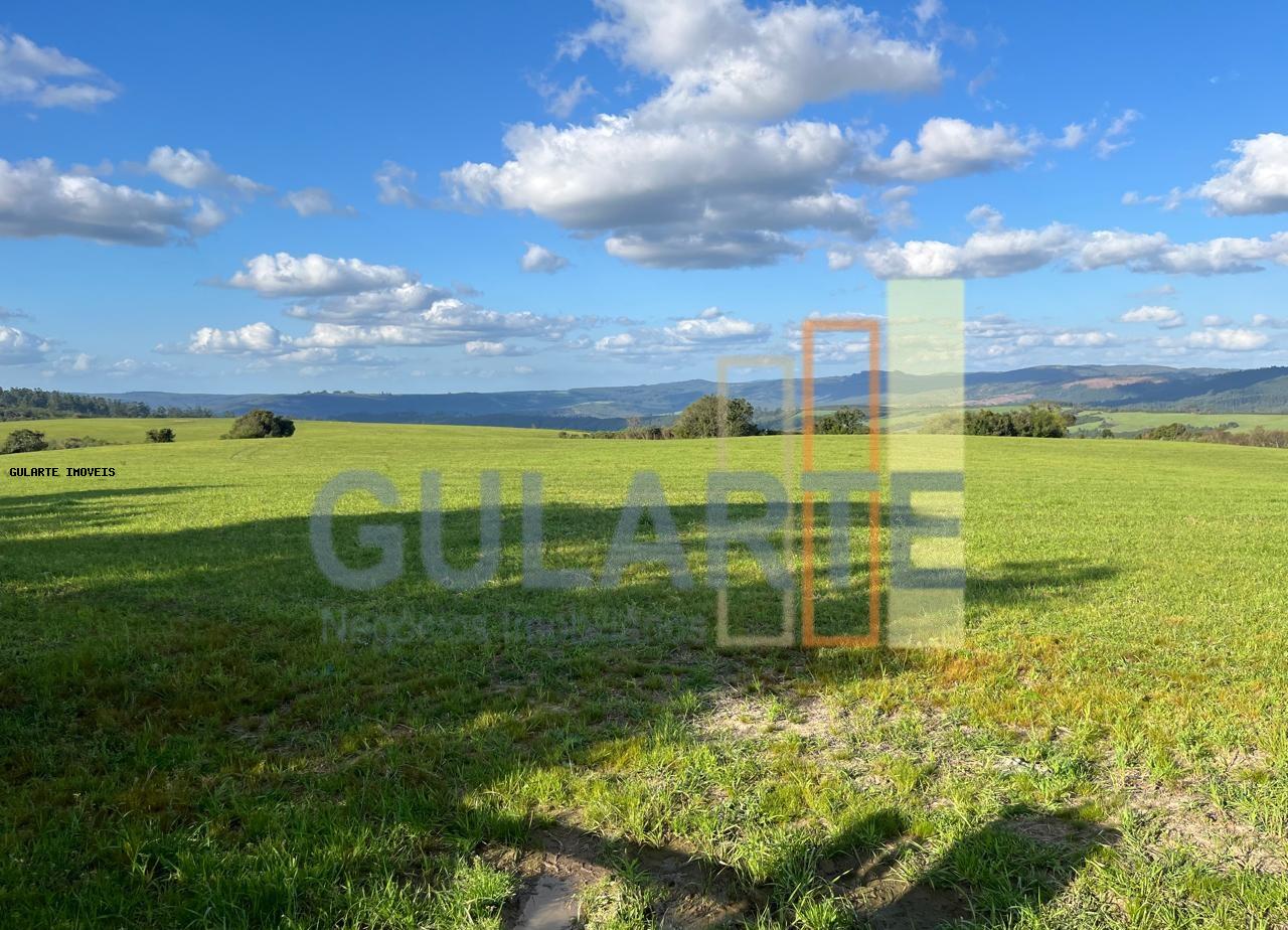 Fazenda, 952 hectares - Foto 12