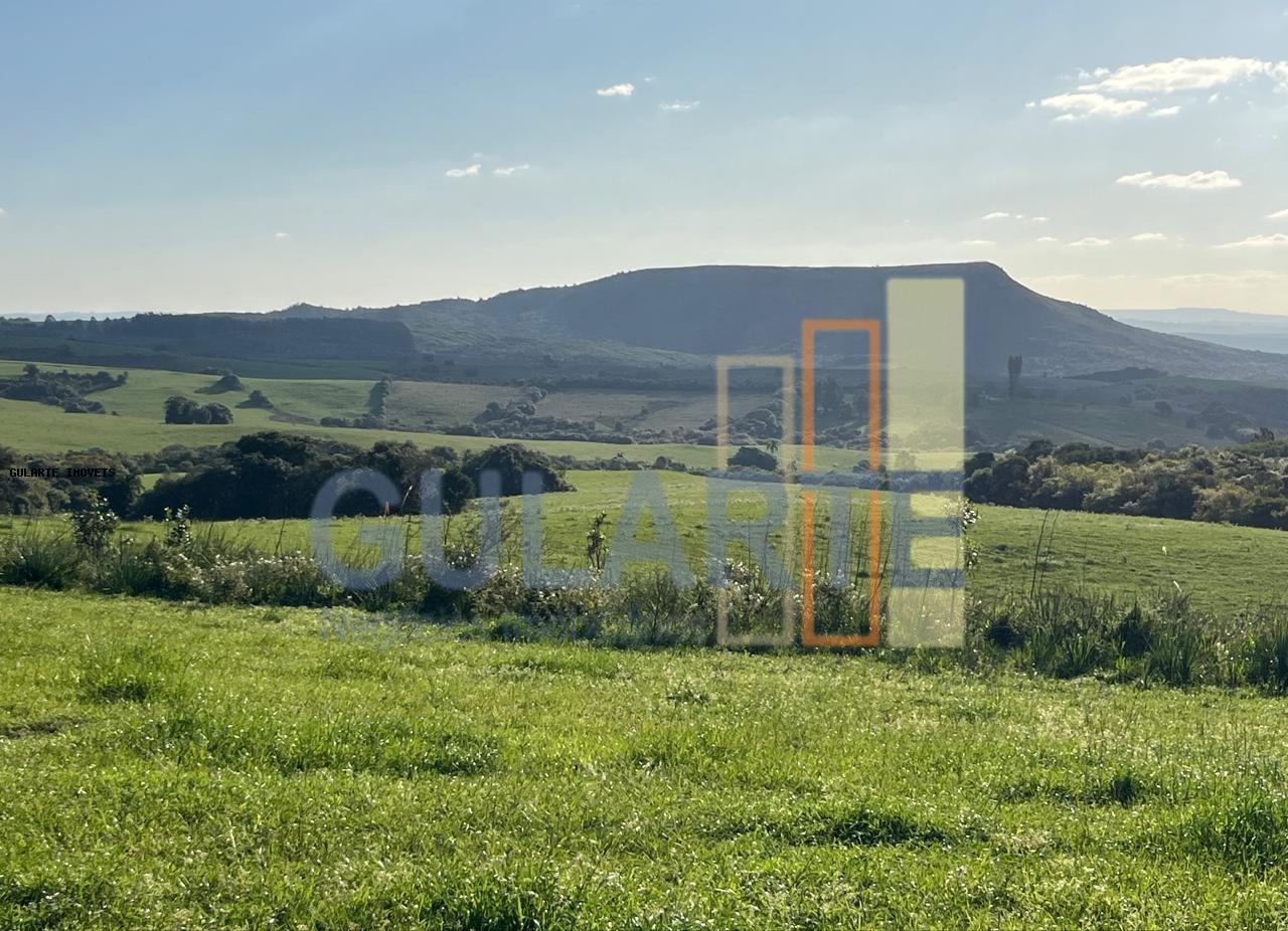 Fazenda, 952 hectares - Foto 14