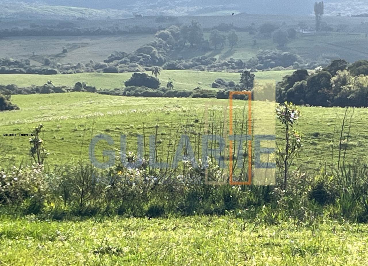 Fazenda, 952 hectares - Foto 16