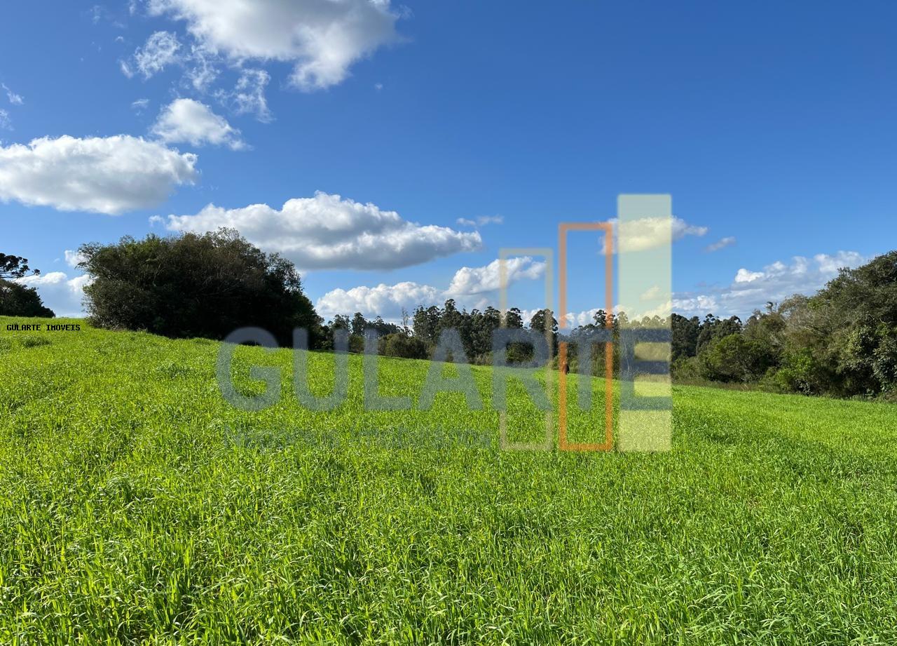 Fazenda, 952 hectares - Foto 15