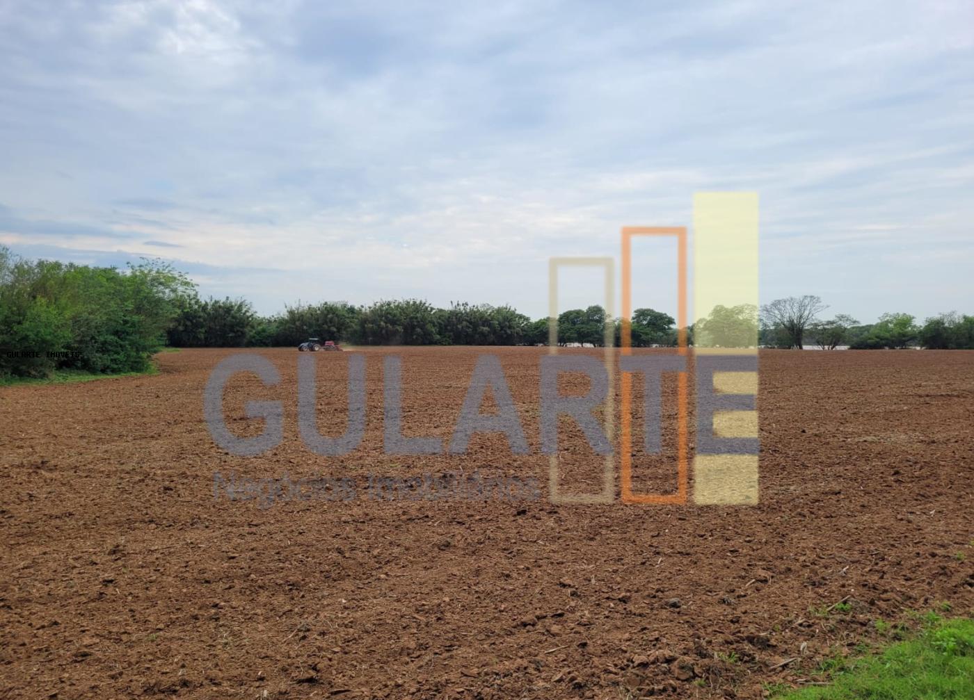 Chácara, 4 quartos, 8 hectares - Foto 1