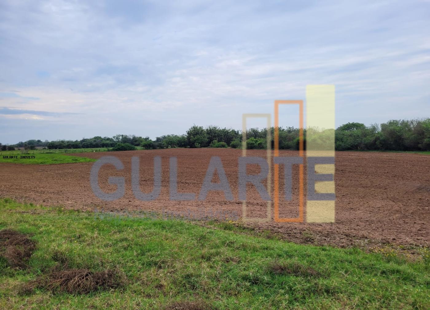 Chácara, 4 quartos, 8 hectares - Foto 3