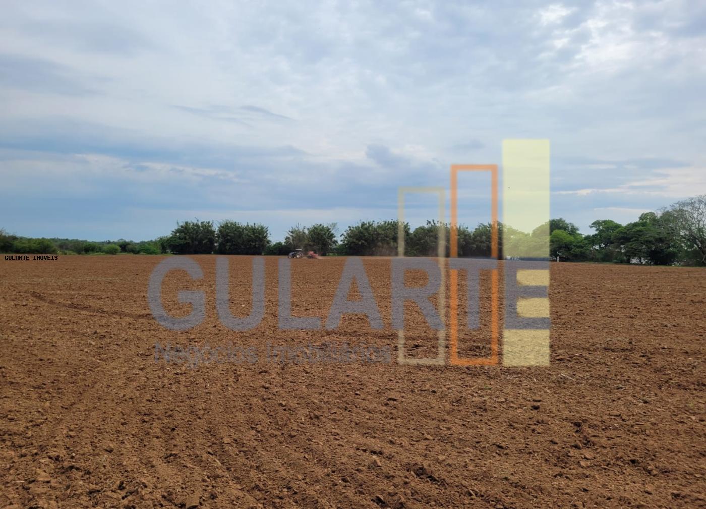 Chácara, 4 quartos, 8 hectares - Foto 6