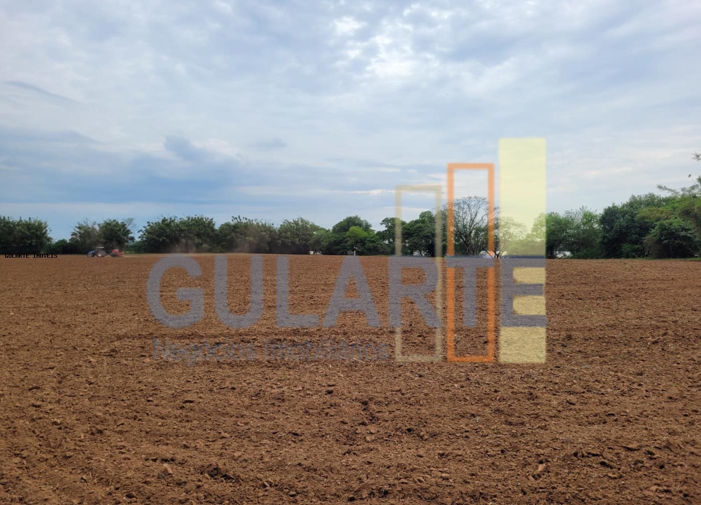 Chácara, 4 quartos, 8 hectares - Foto 7