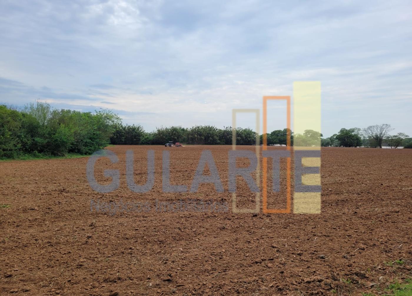 Chácara, 4 quartos, 8 hectares - Foto 5