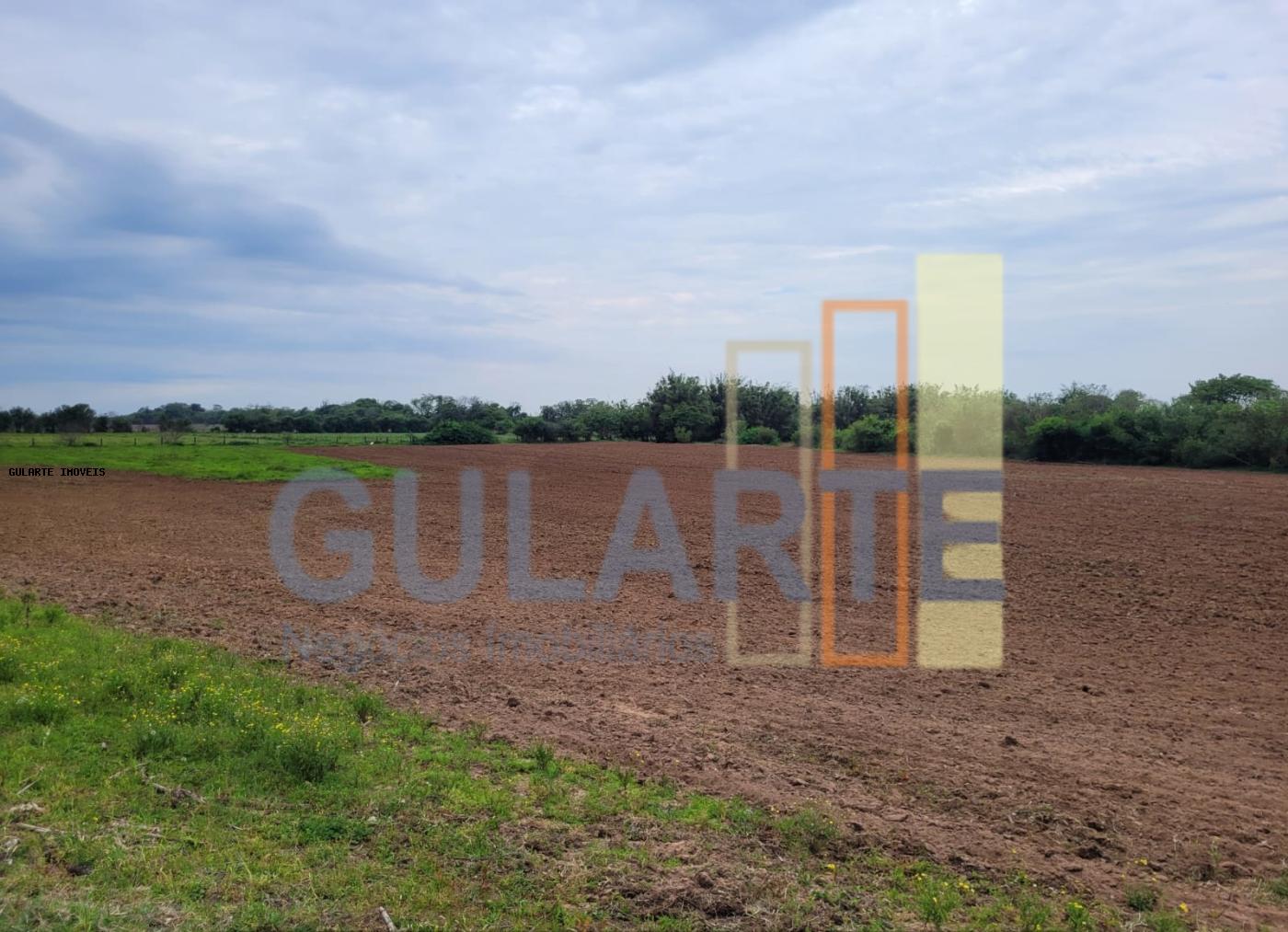 Chácara, 4 quartos, 8 hectares - Foto 8