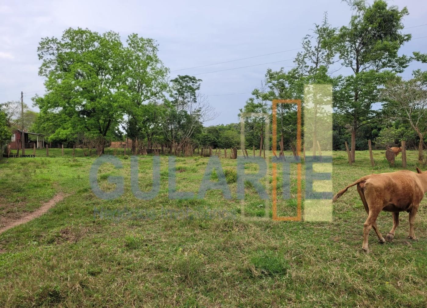 Chácara, 4 quartos, 8 hectares - Foto 9