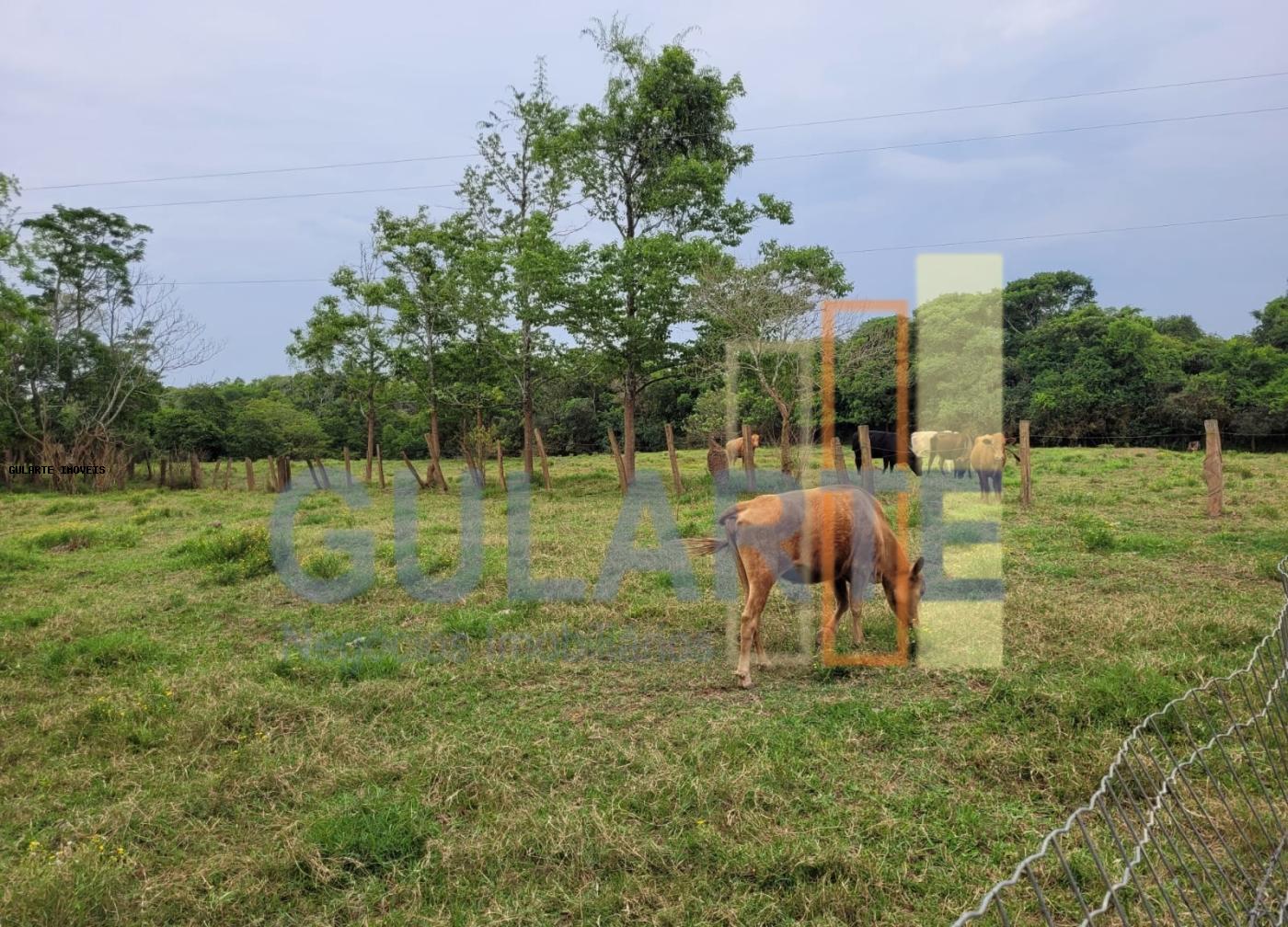 Chácara, 4 quartos, 8 hectares - Foto 10