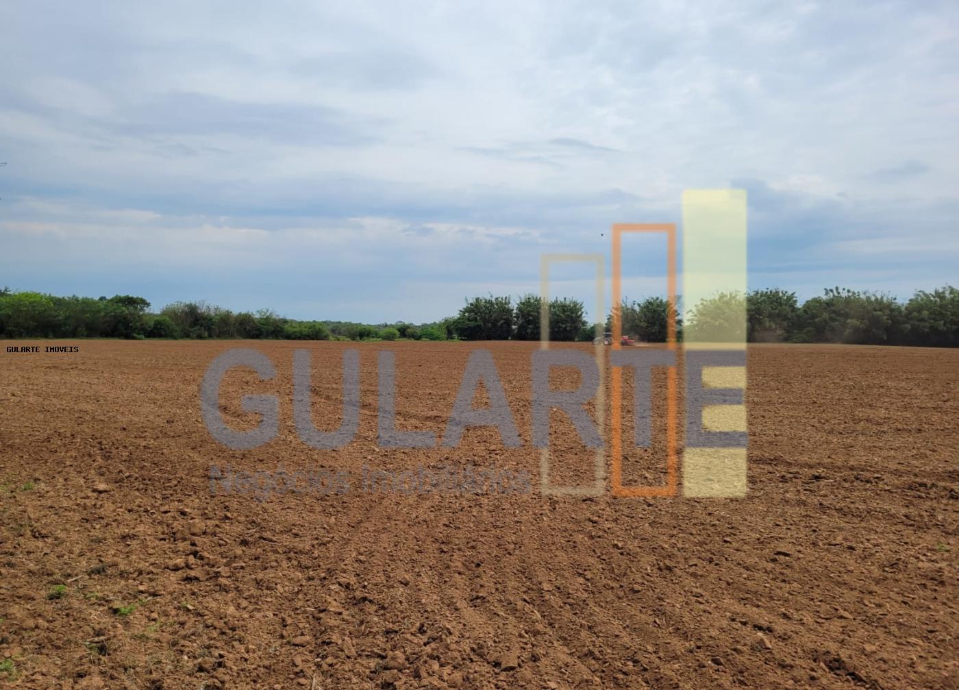 Chácara, 4 quartos, 8 hectares - Foto 11