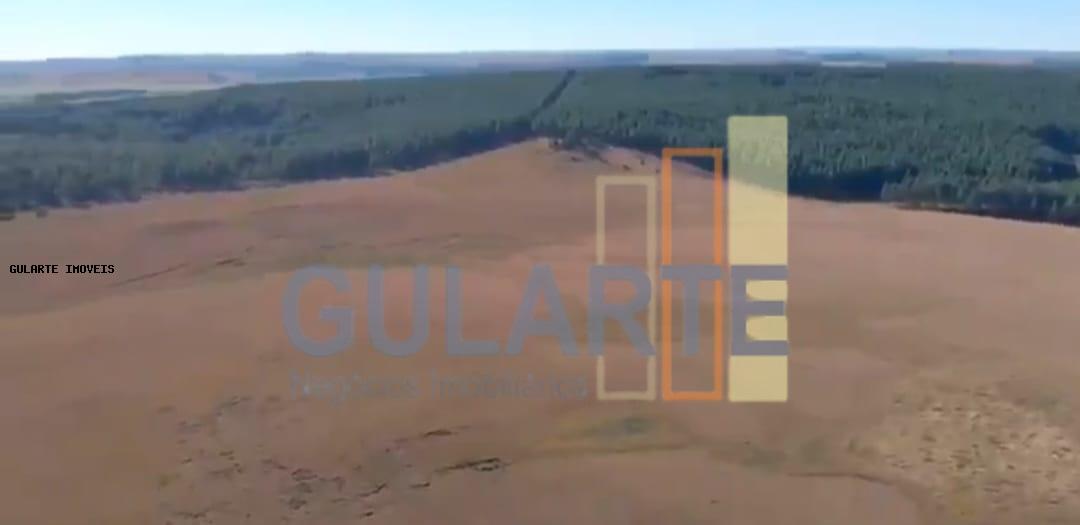 Fazenda, 103 hectares - Foto 13