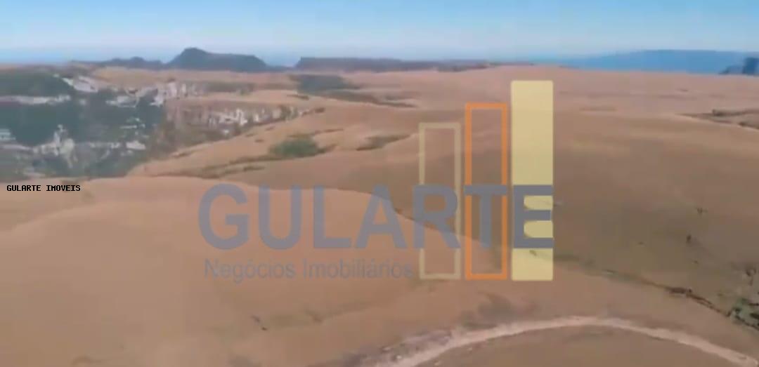 Fazenda, 103 hectares - Foto 11