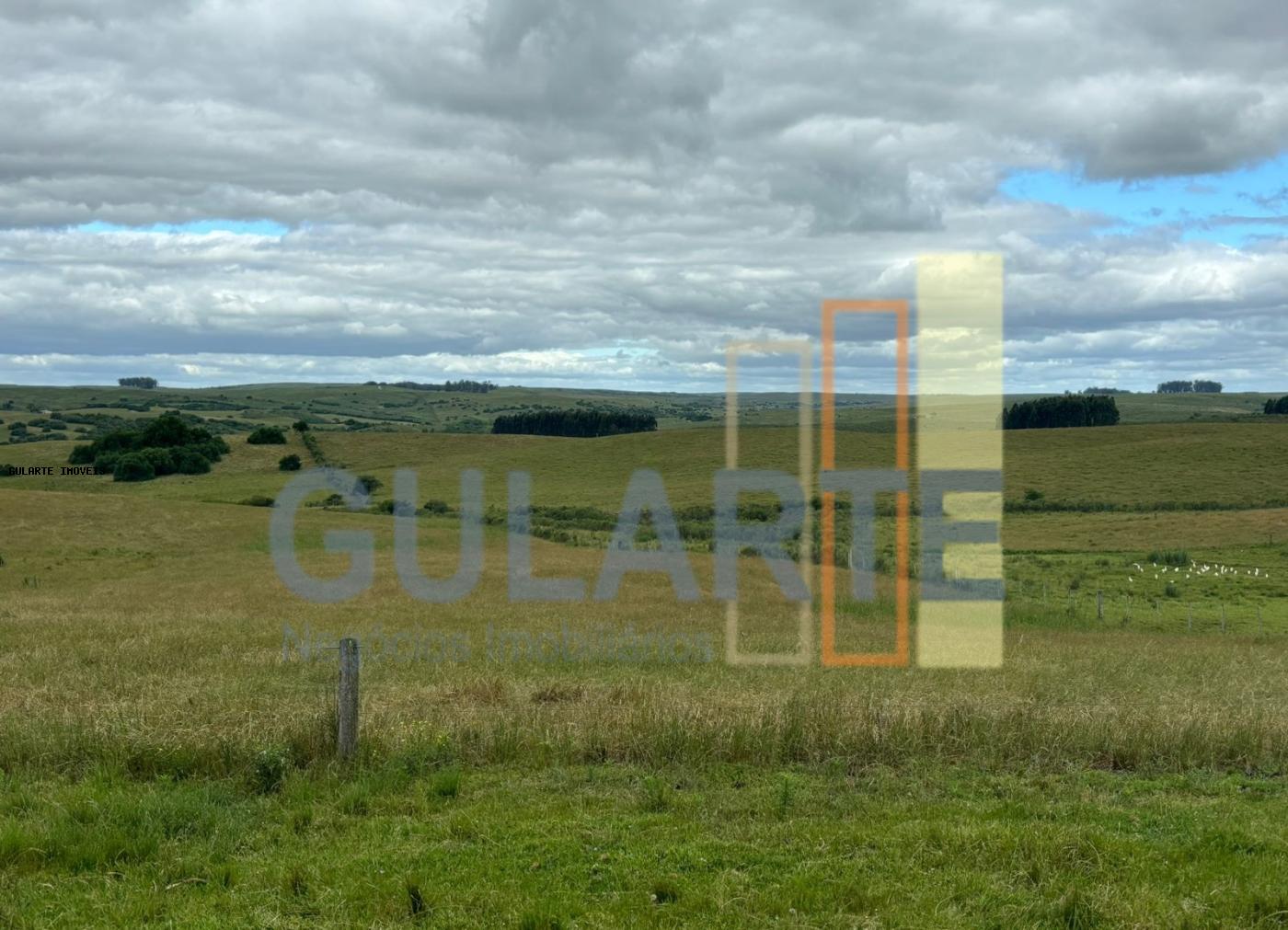 Chácara, 950 hectares - Foto 1