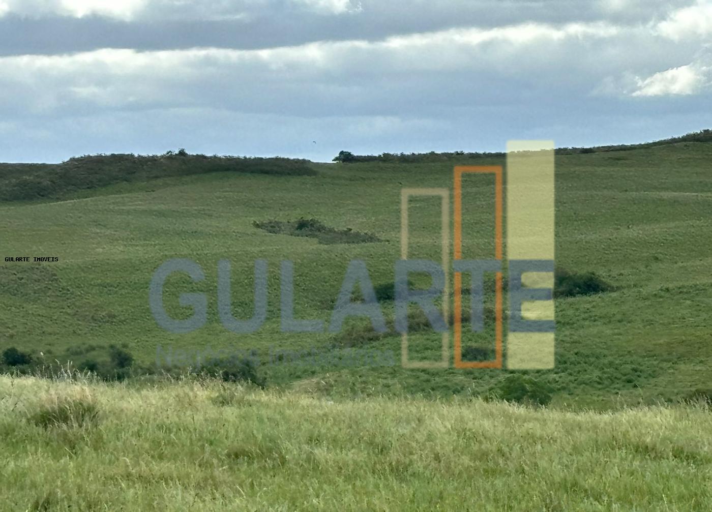 Chácara, 950 hectares - Foto 2