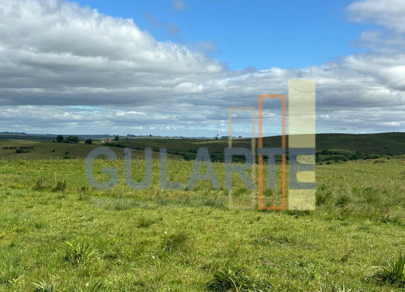 Chácara, 950 hectares - Foto 5