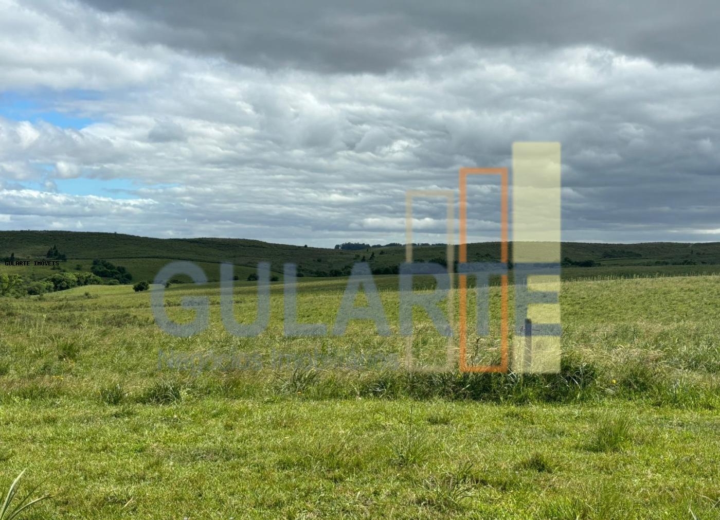 Chácara, 950 hectares - Foto 4