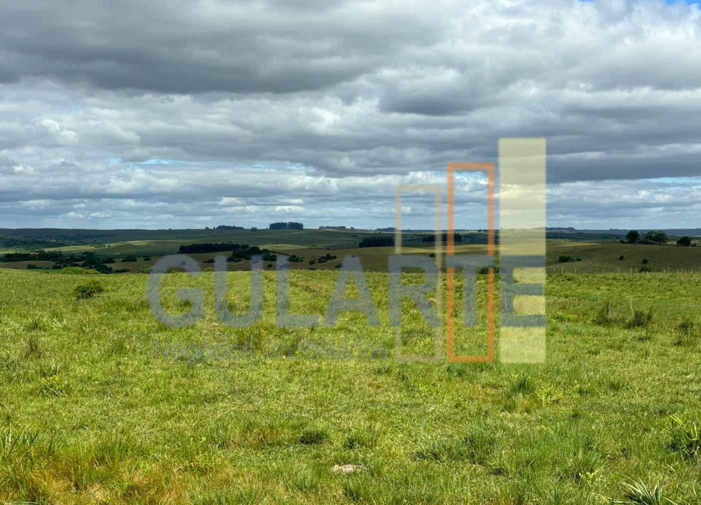 Fazenda, 950 hectares - Foto 6