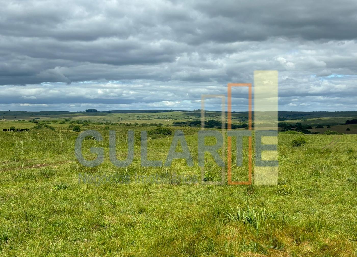 Fazenda, 950 hectares - Foto 7