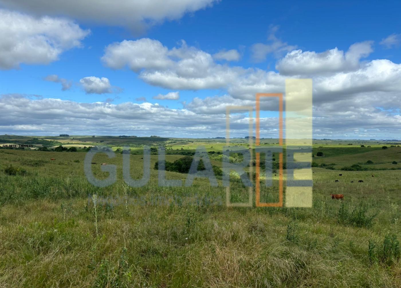Fazenda, 950 hectares - Foto 9