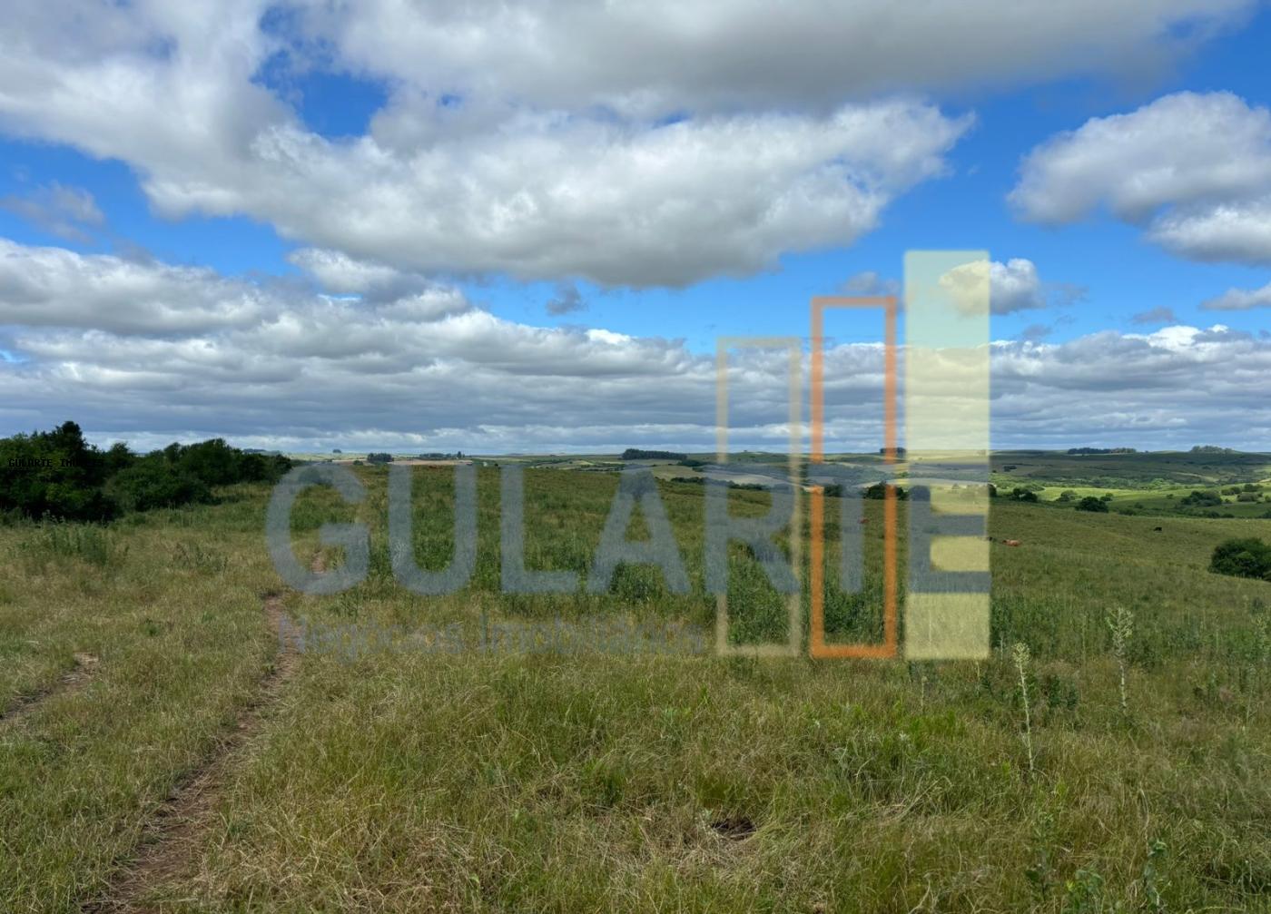 Fazenda, 950 hectares - Foto 8