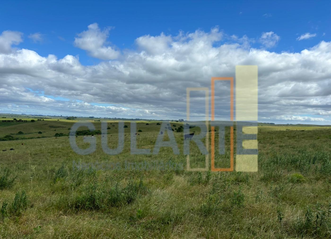 Fazenda, 950 hectares - Foto 11