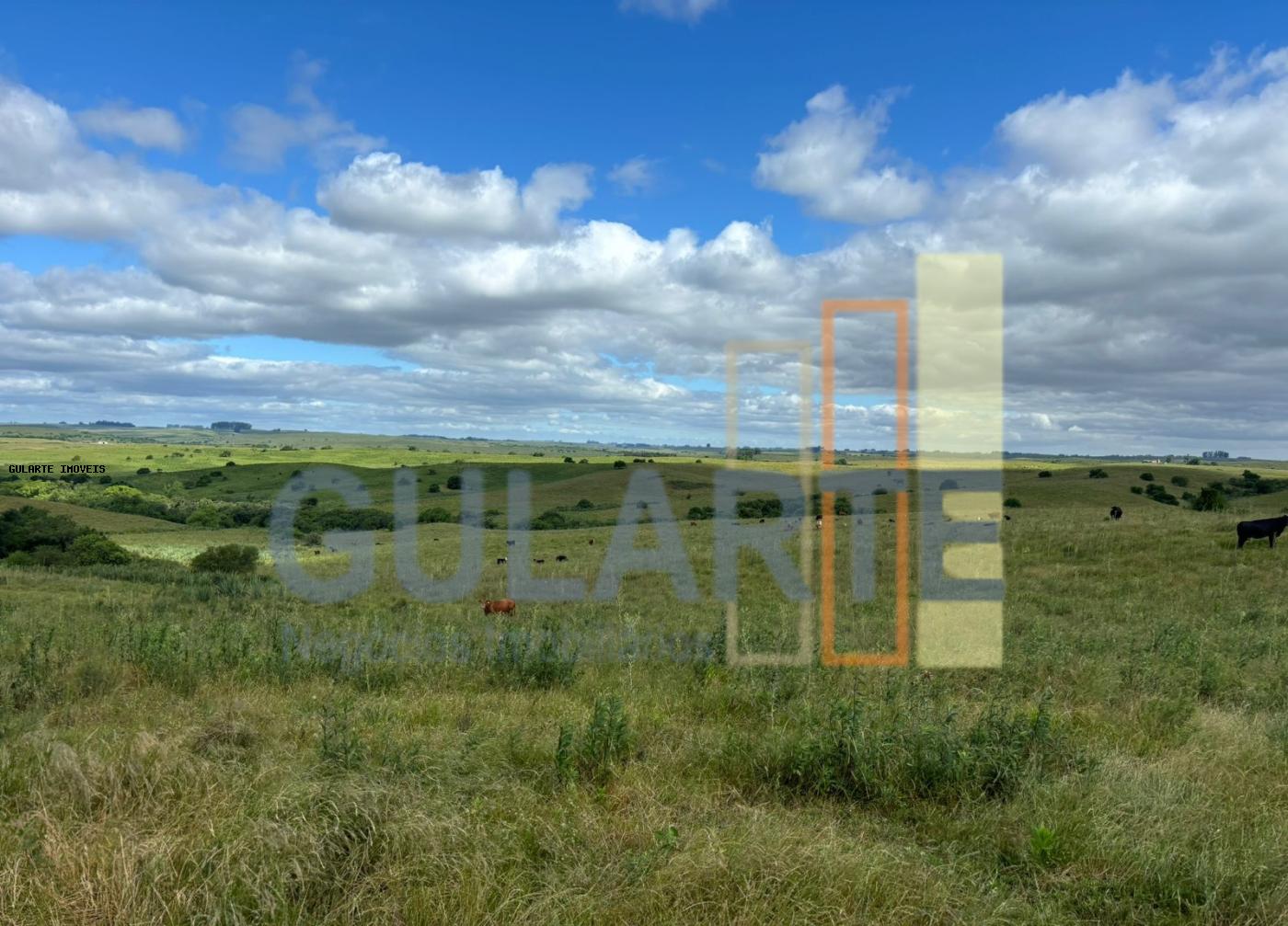 Fazenda, 950 hectares - Foto 14