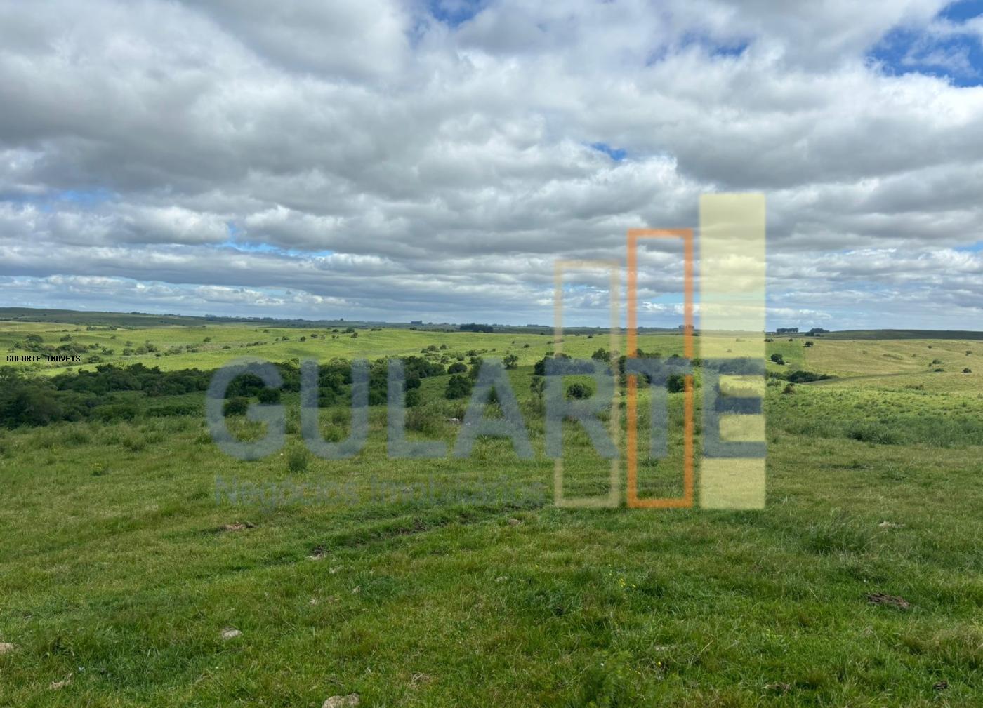 Fazenda, 950 hectares - Foto 12