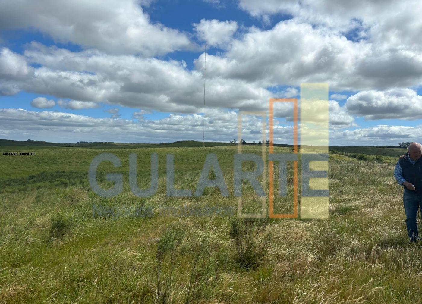 Fazenda, 950 hectares - Foto 16