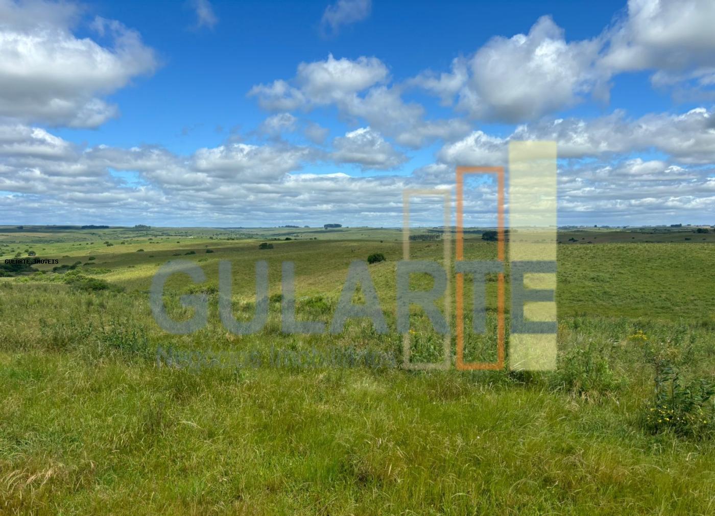 Fazenda, 950 hectares - Foto 17