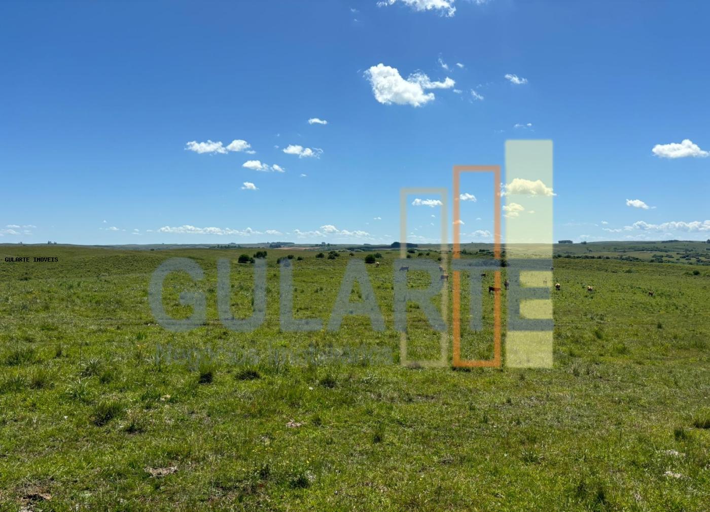 Fazenda, 950 hectares - Foto 20