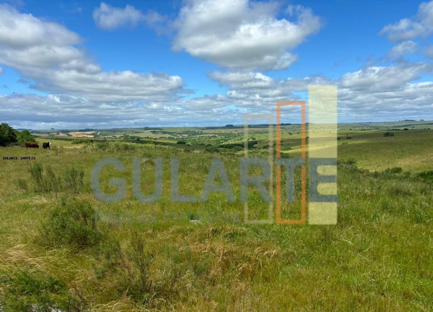 Fazenda, 950 hectares - Foto 22