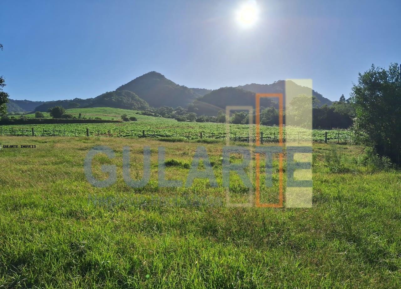 Fazenda, 330 hectares - Foto 1