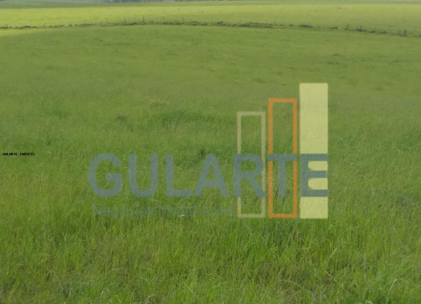 Fazenda, 330 hectares - Foto 4