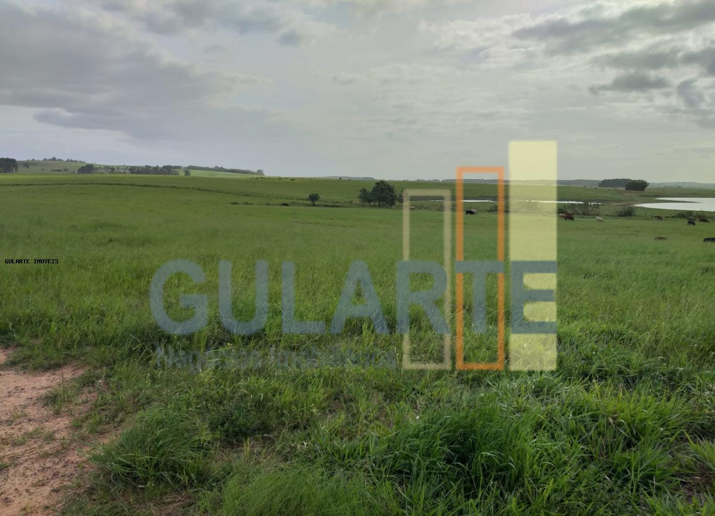 Fazenda, 330 hectares - Foto 5