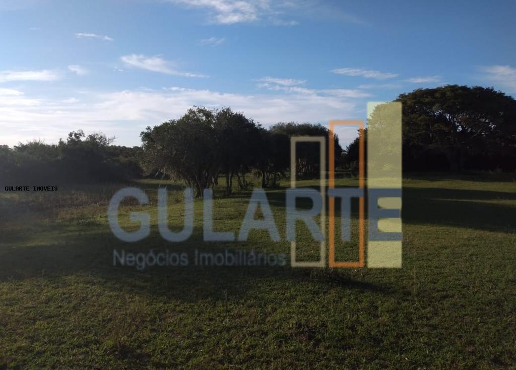 Fazenda, 442 hectares - Foto 6