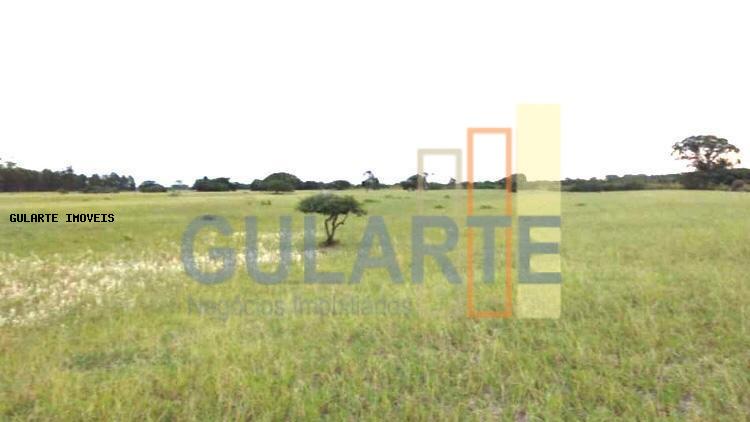 Fazenda, 442 hectares - Foto 5