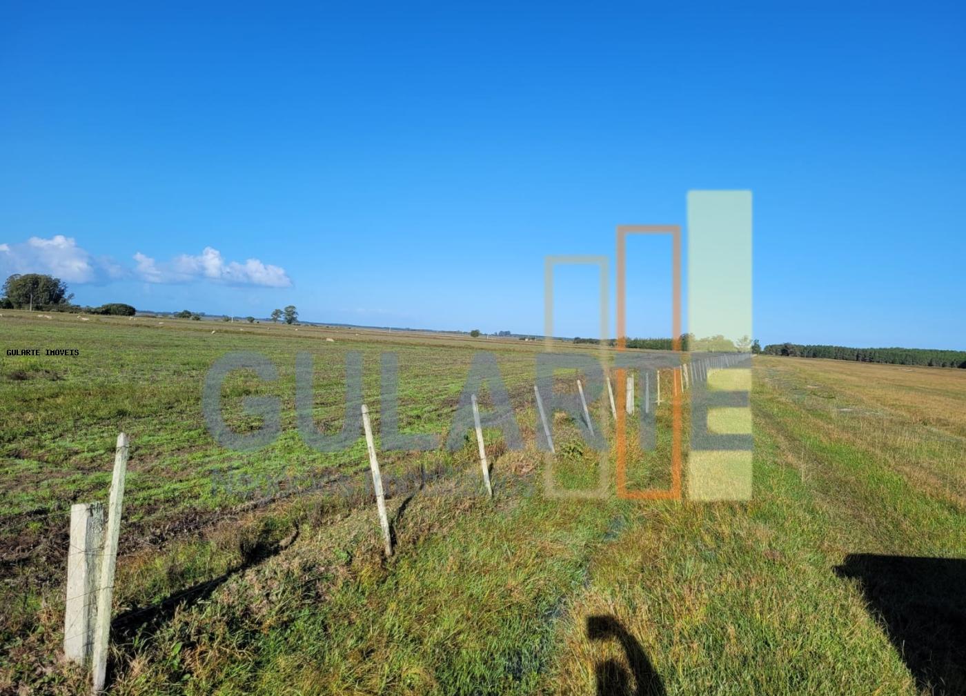 Fazenda, 442 hectares - Foto 7