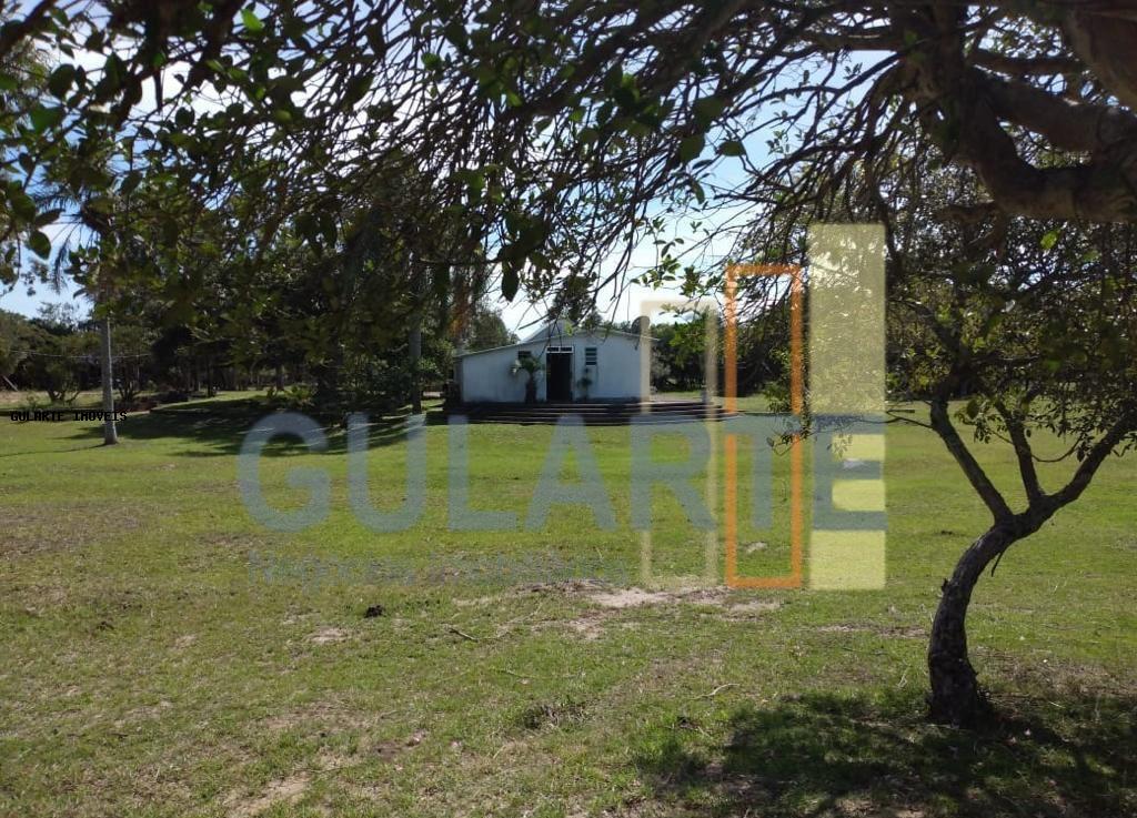 Fazenda, 442 hectares - Foto 10