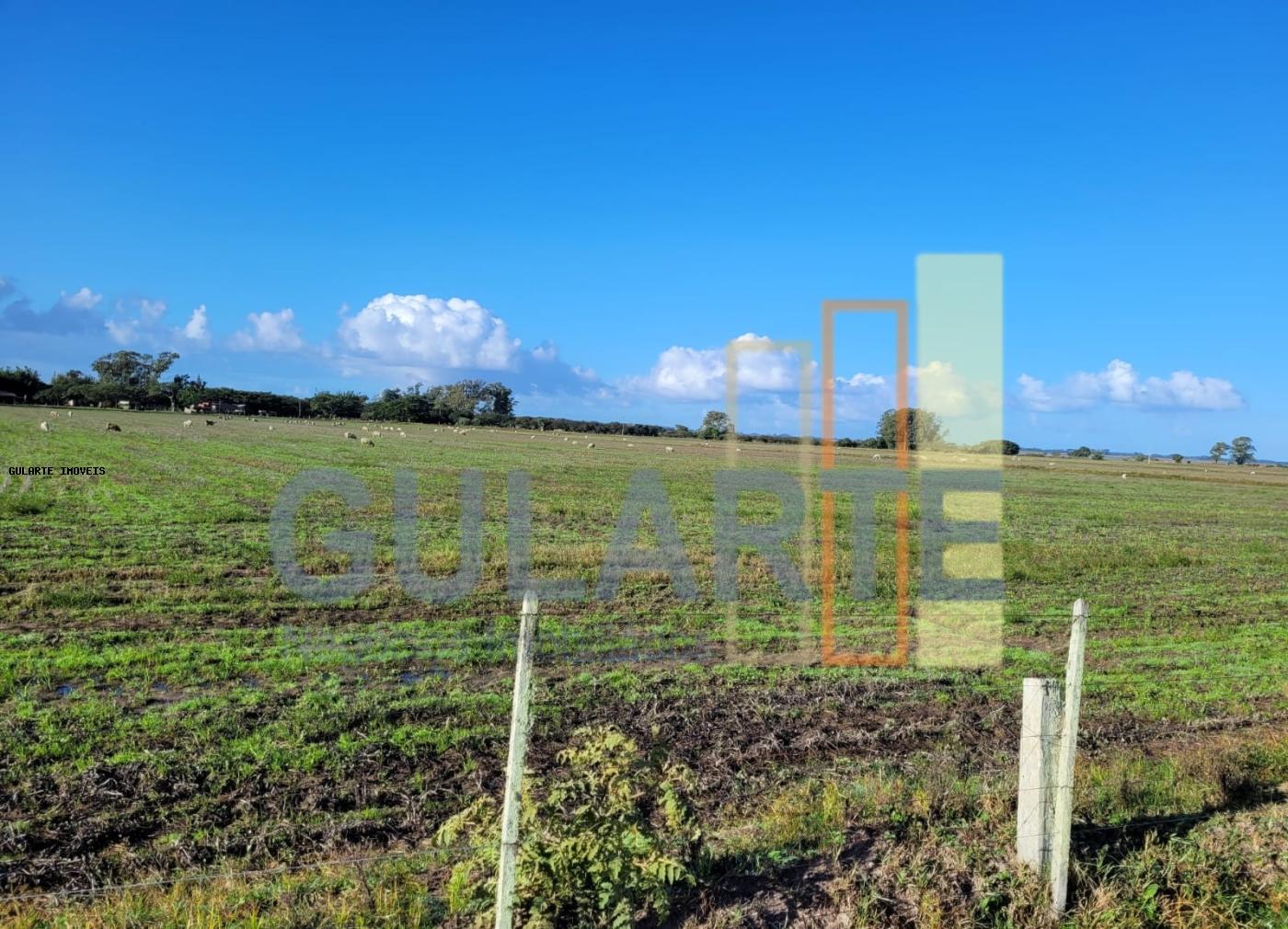 Fazenda, 442 hectares - Foto 2