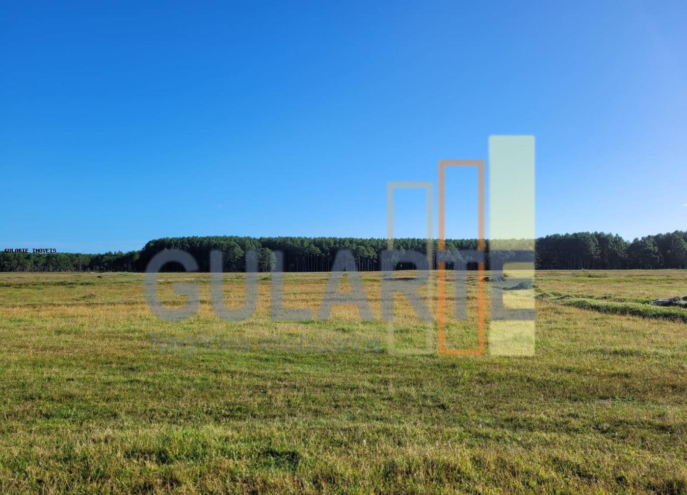 Fazenda, 442 hectares - Foto 1