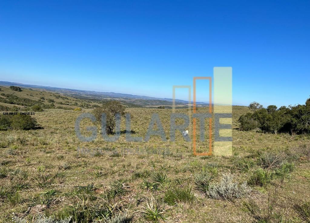 Chácara, 897 hectares - Foto 1