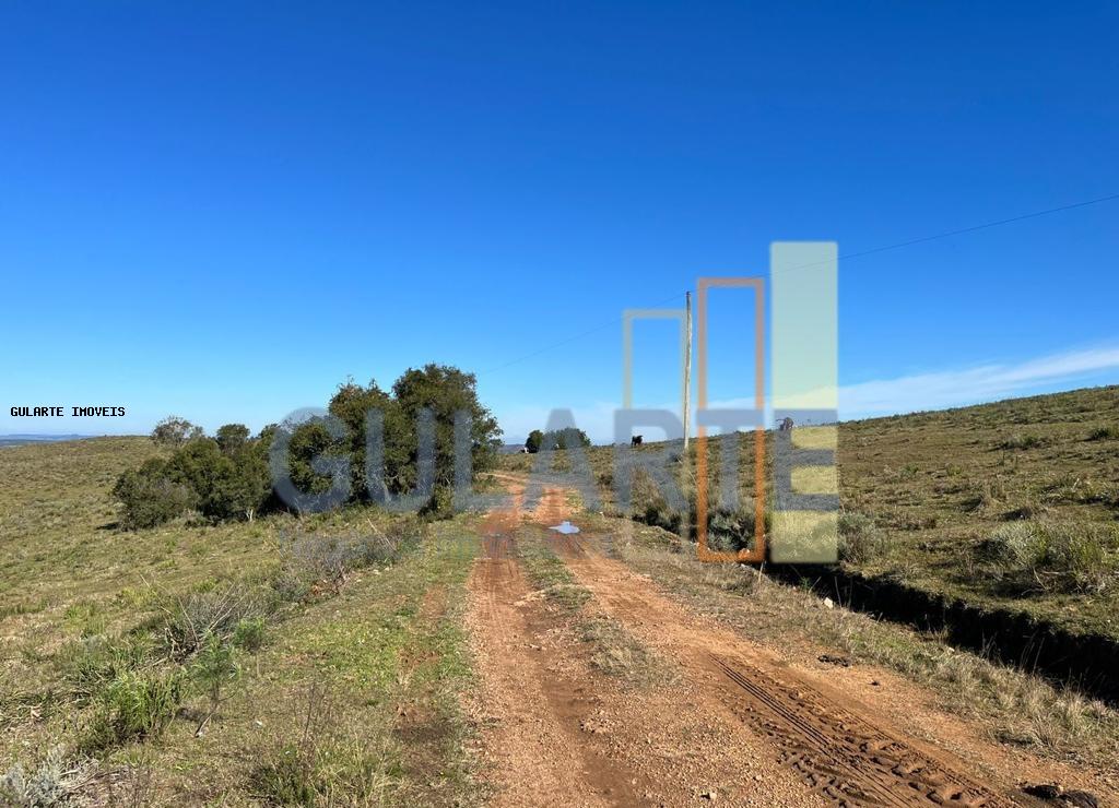 Fazenda, 897 hectares - Foto 6