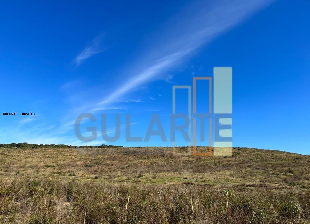 Chácara, 897 hectares - Foto 4