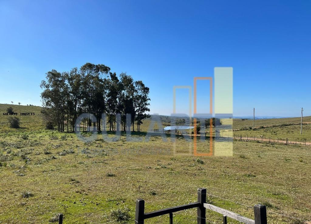 Chácara, 897 hectares - Foto 3