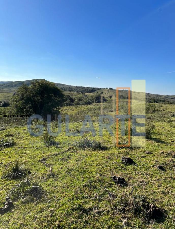 Chácara, 897 hectares - Foto 5