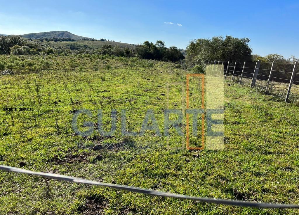 Fazenda, 897 hectares - Foto 7