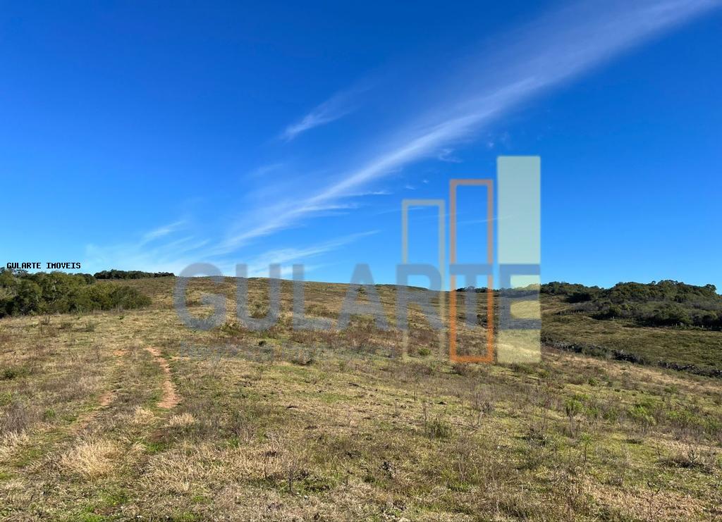 Fazenda, 897 hectares - Foto 8